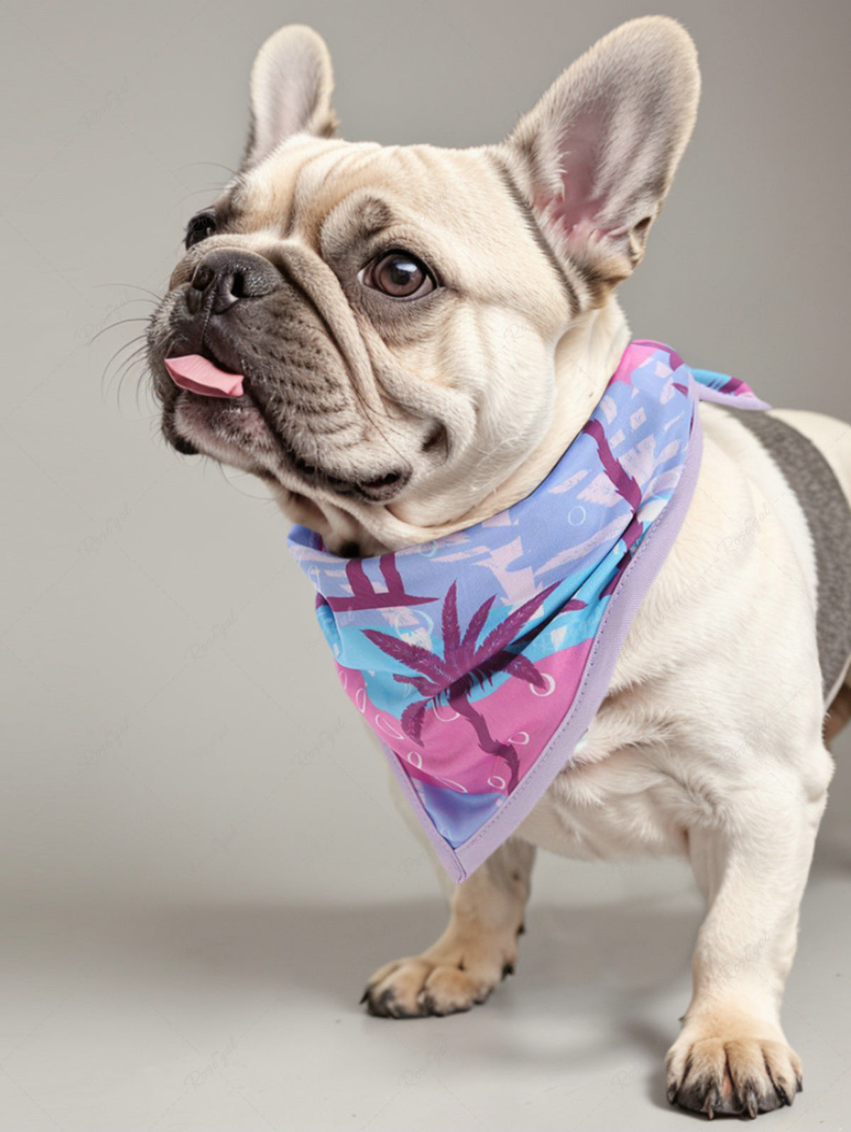 Pet's Coconut Tree Bubble Colorblock Printed Hawaii Bandana