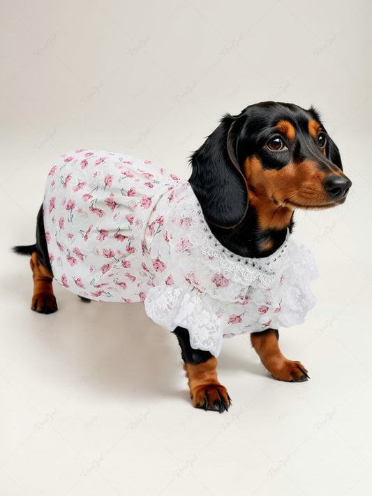 Pet's Flower Printed Jacquard Embroidered Lace Trim Patchwork Rivet Button Dress