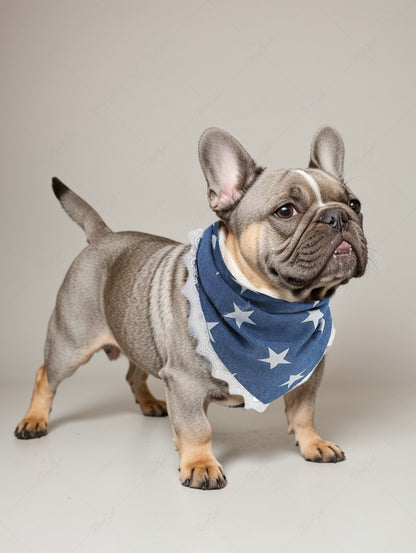 Pet's Star Denim 3D Printed Lace Trim Bandana