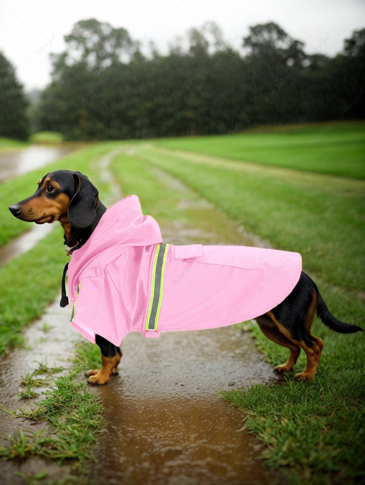 Pet's Reflective Waterproof Pocket Drawstring Hooded Raincoat