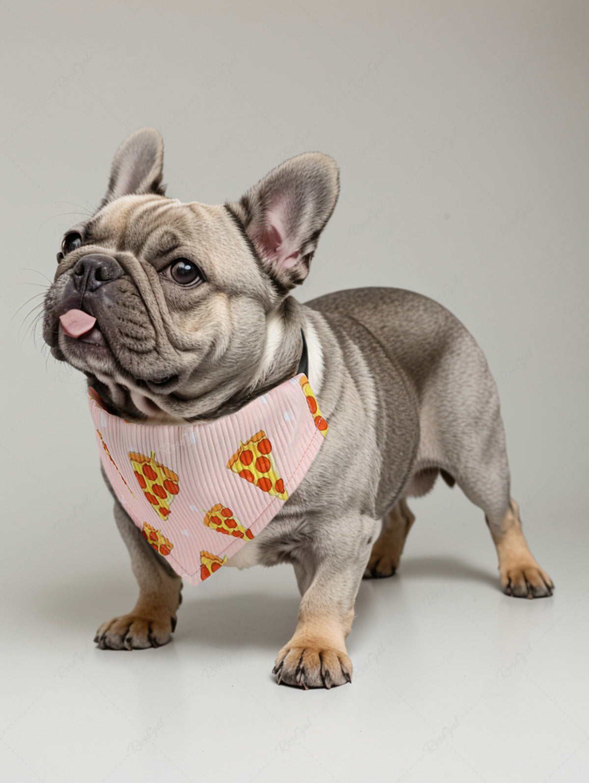 Pet's Pizza Printed Ribbed Push Buckle Waterproof Bandana Bibs