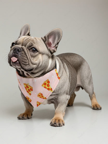 Pet's Pizza Printed Ribbed Push Buckle Waterproof Bandana Bibs