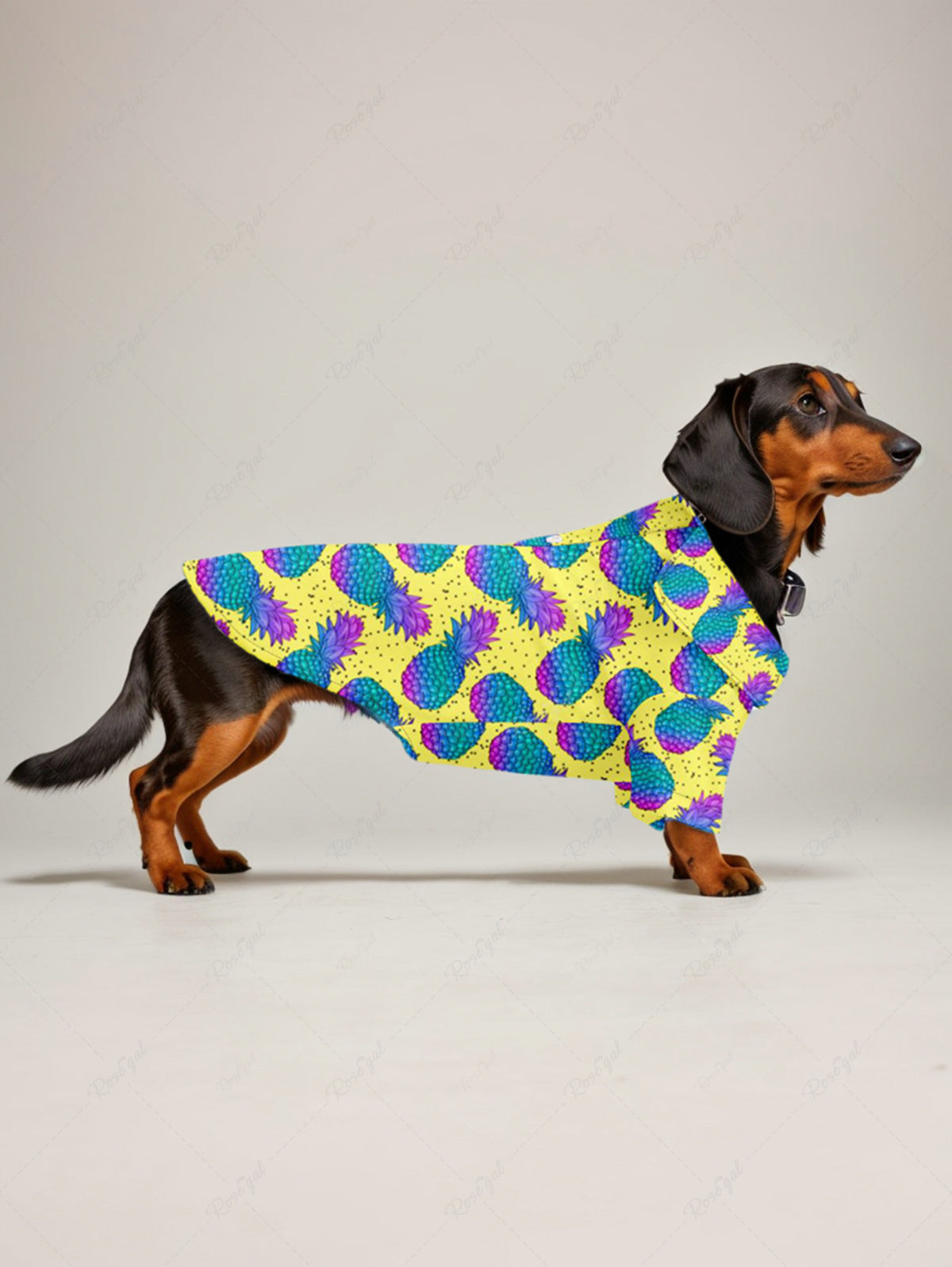 Pet's Turn-down Ombre Pineapple Pin Dot Printed Hawaii Button Shirt