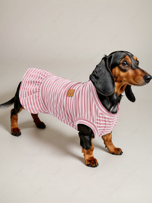 Pet's Striped Printed Smile Stickers Ruffles Top