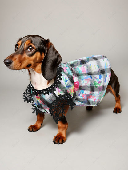 Pet's Plaid Painting Graffiti Printed Glitter Rivet Floral Crochet Trim Button Dress