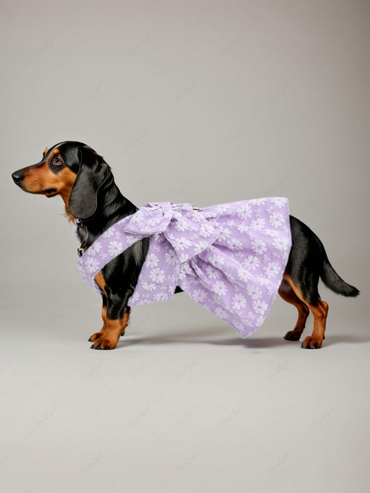 Pet's Floral Jacquard D-Ring Bowknot Dress