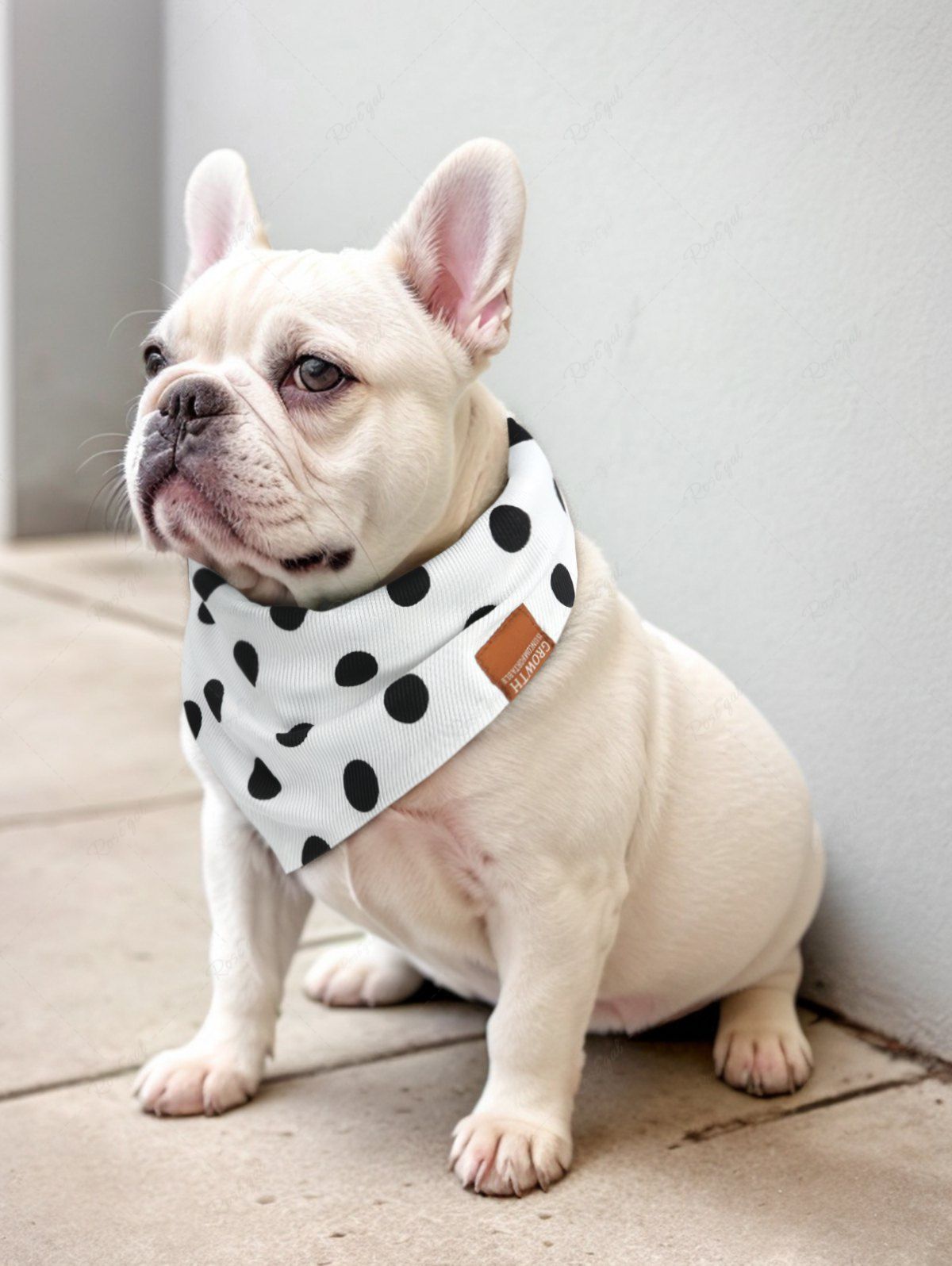 Pet's Polka Dots Printed Double-Side Bibs Bandana