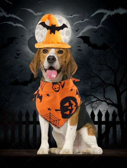 Pet's Halloween Witch Costume Pumpkin Bat Star Spider Web Printed Bandana and Hat