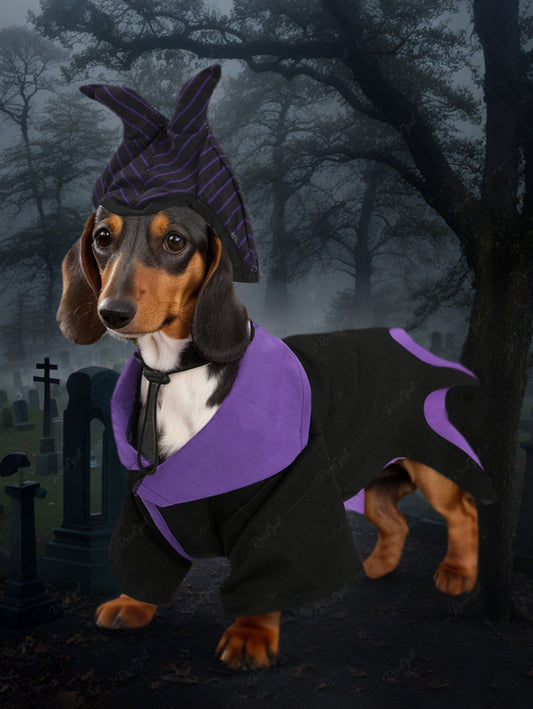 Pet's Halloween Costume Wizard Cosplay Shirts and Hat Set