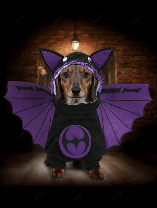 Pet's Halloween Costume Wings Bat Cosplay Cartoon Hoodie with Hat and Cape