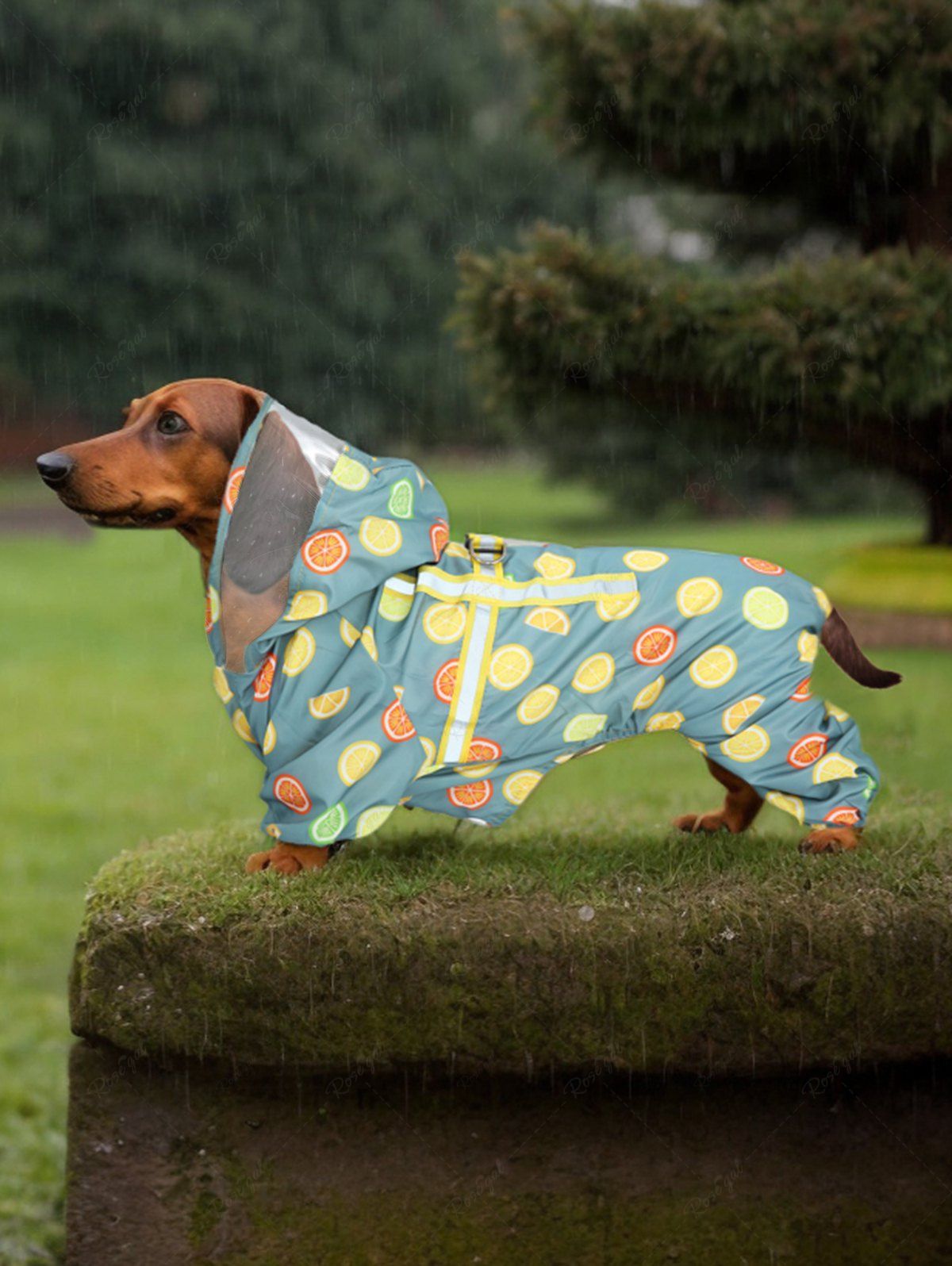 Pet's Orange Lemon Printed Reflective Strips Raincoat