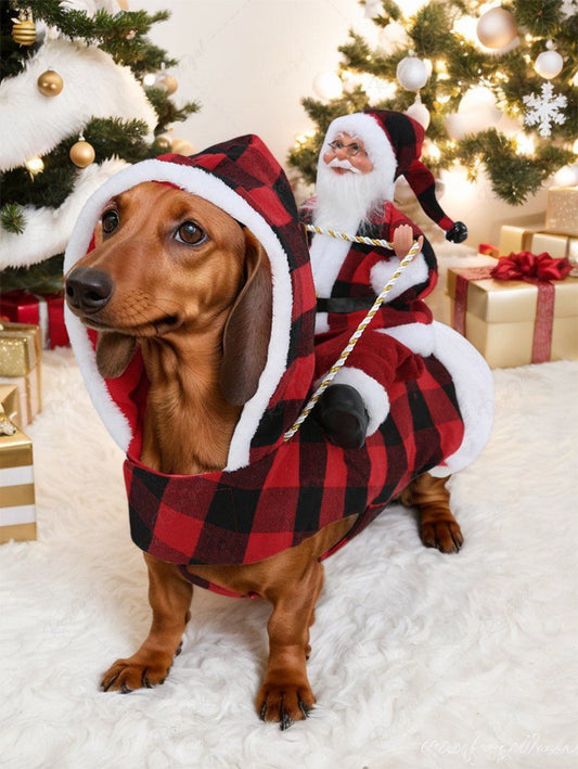 Pet's Christmas Plaid Printed Fur Trim Santa Claus Hoodie