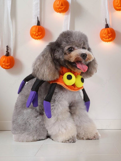 Pet's Halloween Costume Spider Collar