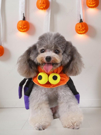 Pet's Halloween Costume Spider Collar