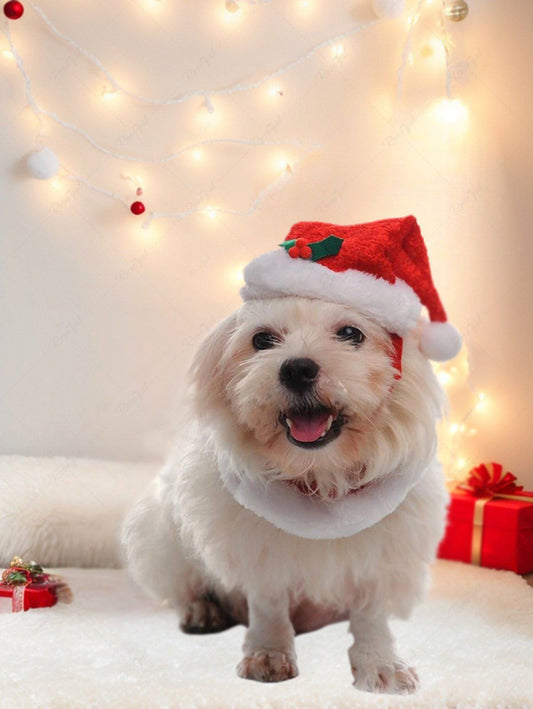 Pet's Holy Fruit Christmas Hat and Two Tone Collar With Bells