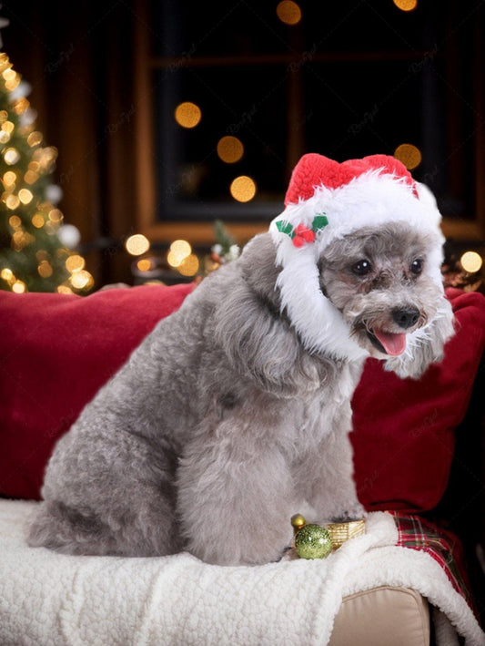 Pet's Holy Fruit Leaf Christmas Hat