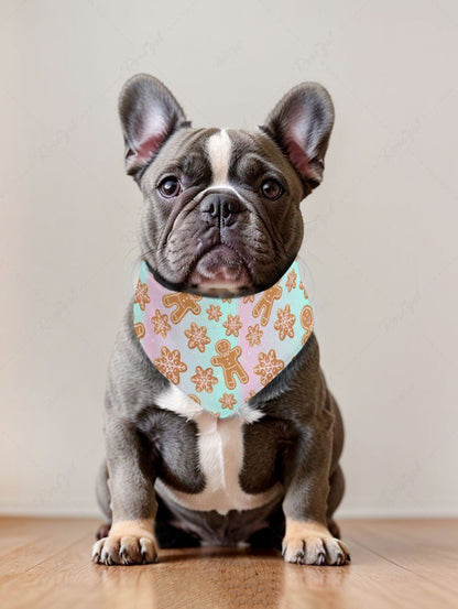 Pet's Christmas Gingerbread Snowflake Printed Ombre Bandana Bibs