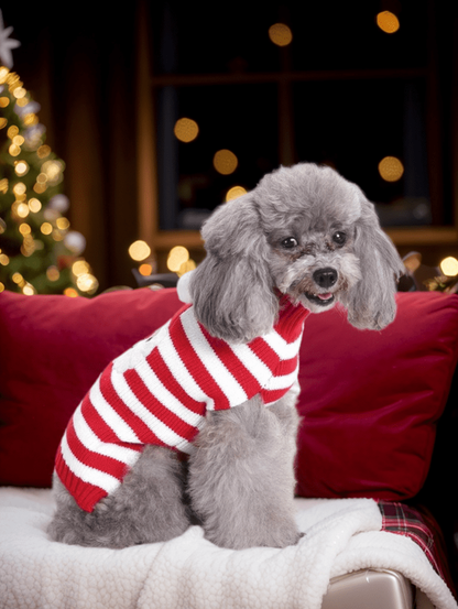 Christmas Santa Claus Stripes Printed Sweater and Sweatshirt Dog and Owner Matching Outfits