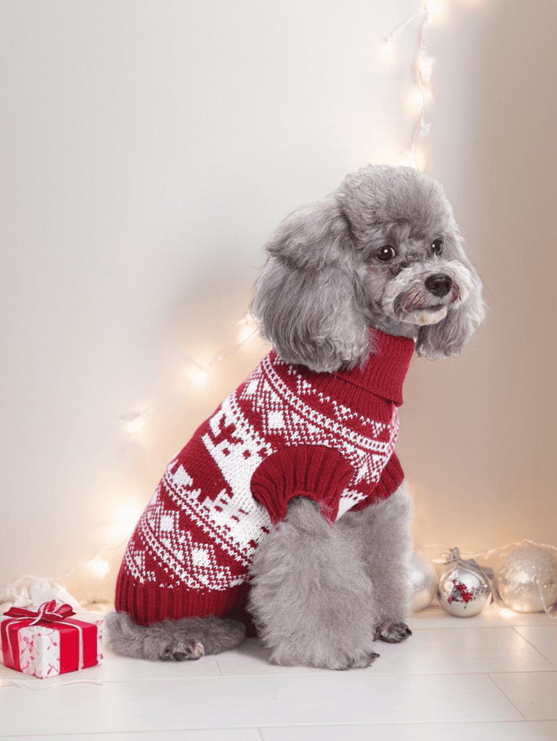 Christmas Snowflake Elk Zig Zag Fair Isle Print Sweater Dog and Owner Matching Outfits