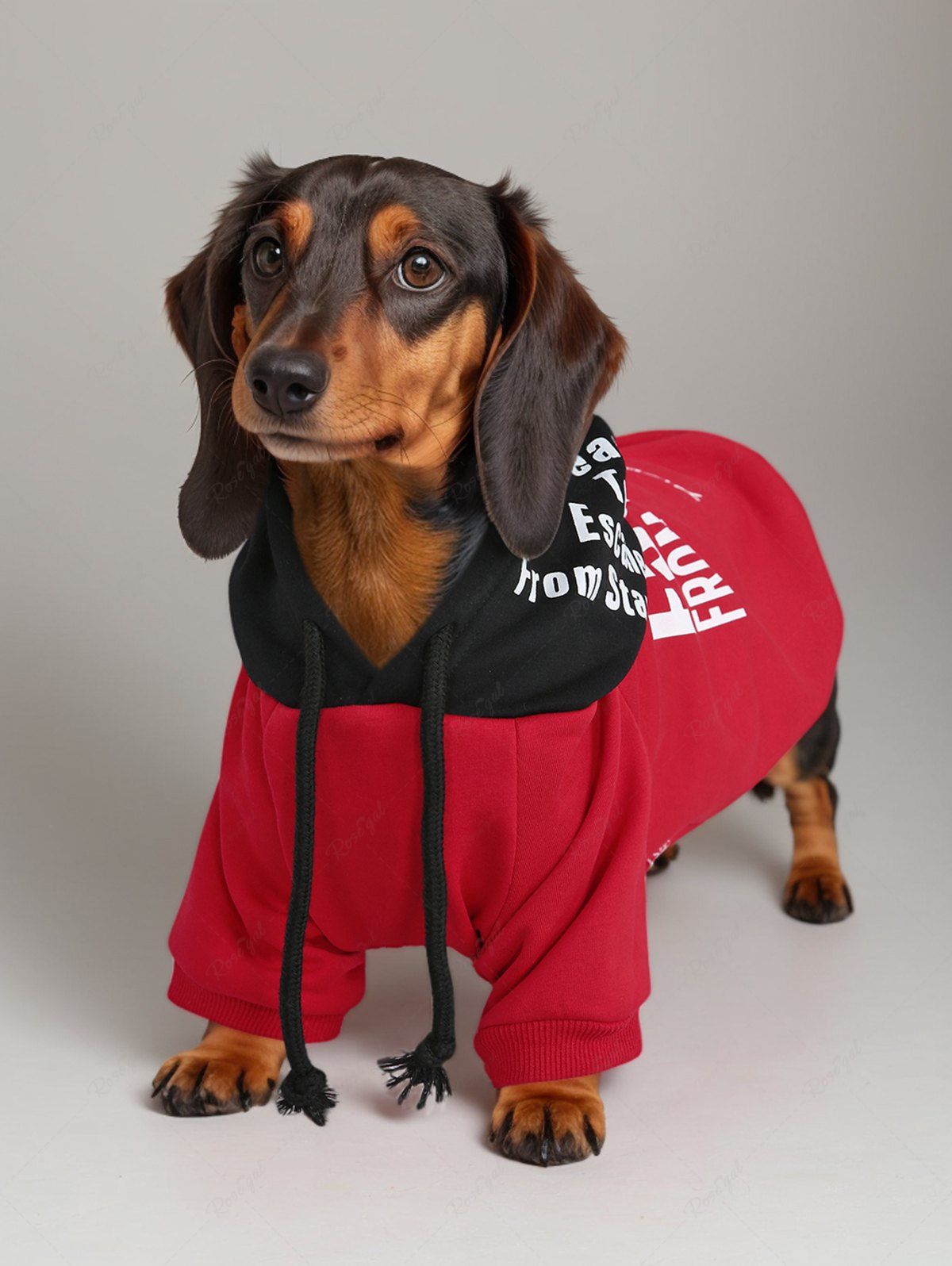 Pet's Letters Printed Two Tone Drawstring Fleece Lining Hoodie