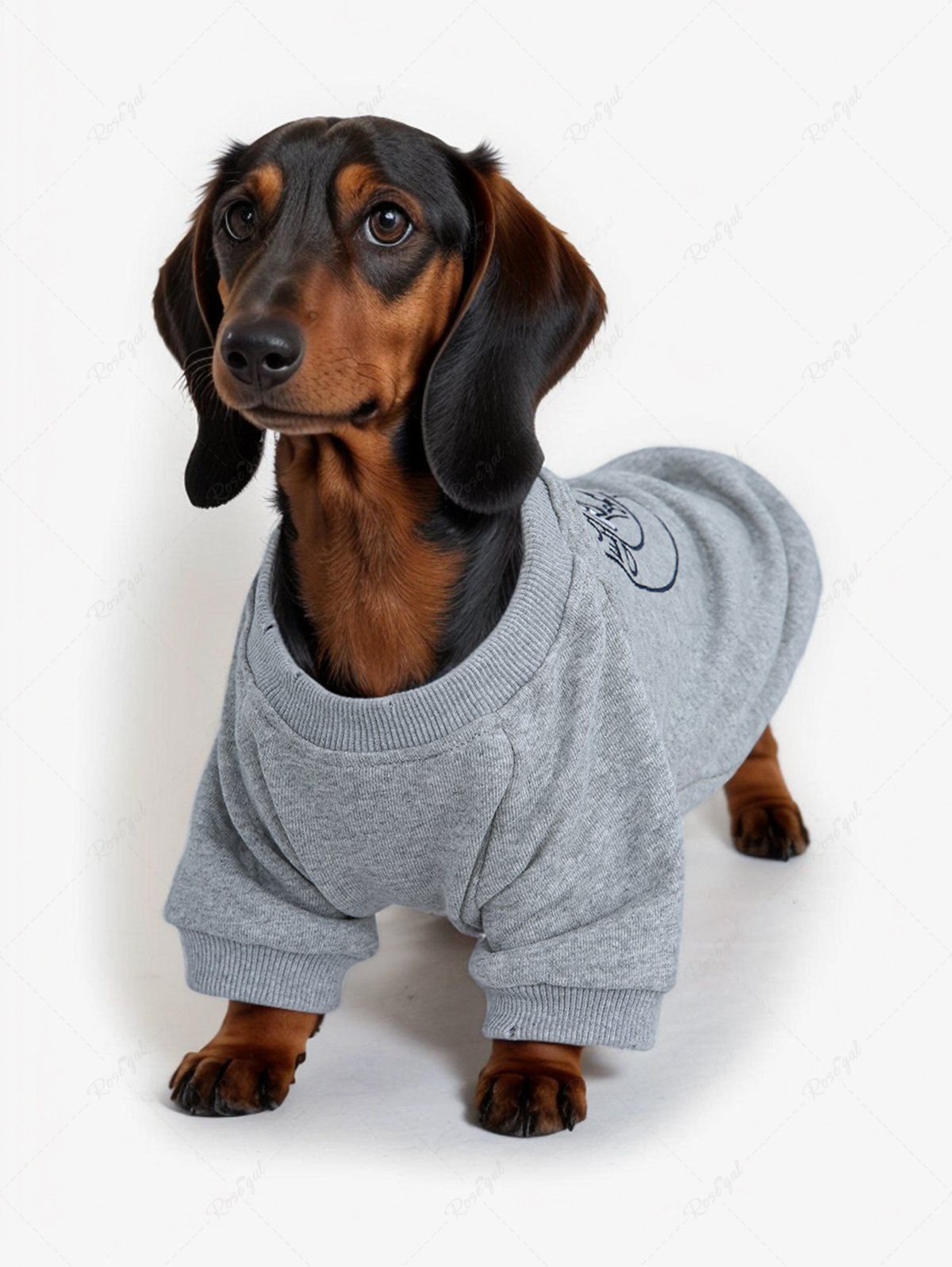 Dog Jacquard Embroidered Graphic Sweatshirt Dog and Owner Matching Outfits