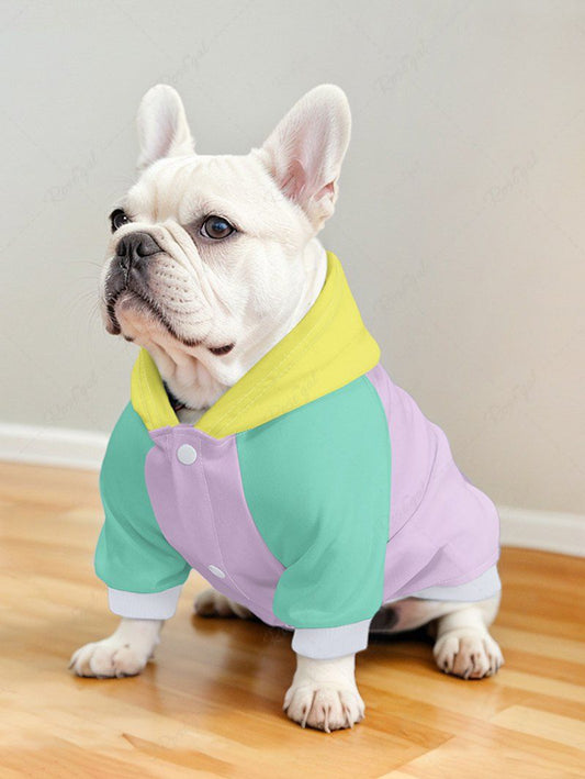 Pet's Colorblock Patchwork Hoodie