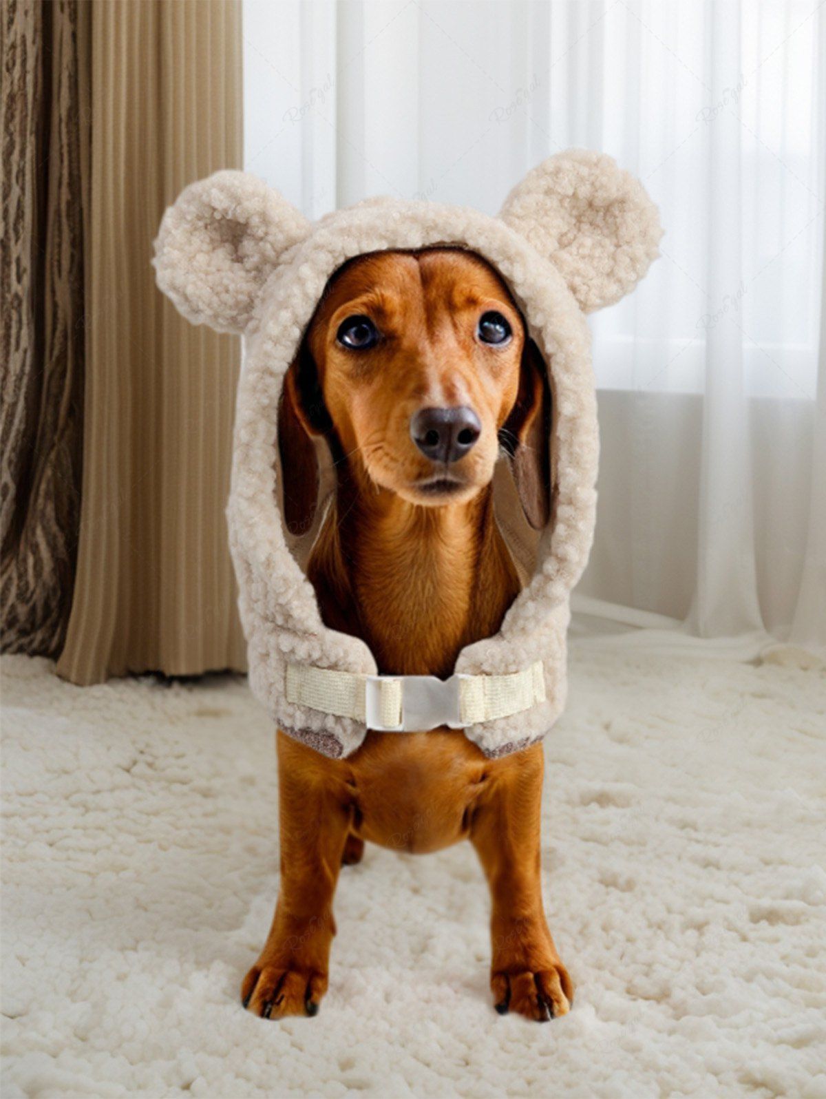 Pet's Bear Ears Teddy Vest With Leash