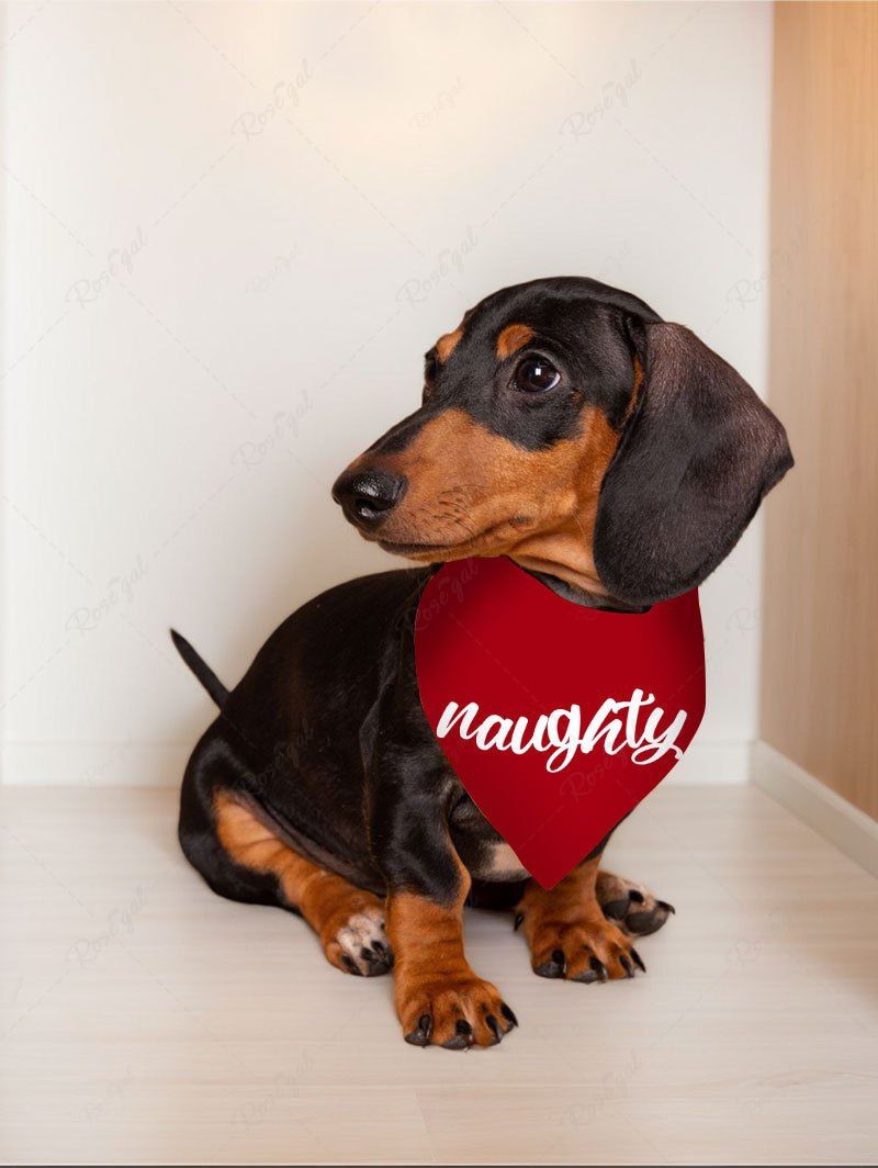 Pet's Letters Printed Two Tone Bandana Bibs