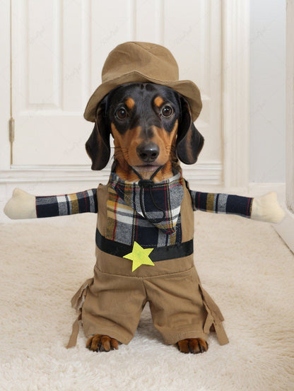 Pet's Plaid Patchowork Star Arms Cowboy Coat With Hat