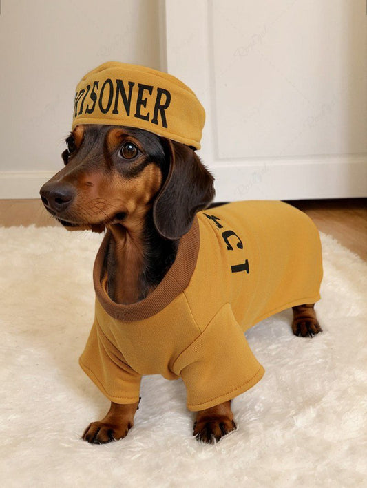 Pet's Letters Printed Prinsoner Costume Coat With Hat