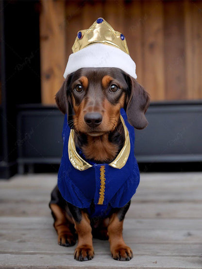 Pet's Prince Costume Velvet Coat With Crown Hat