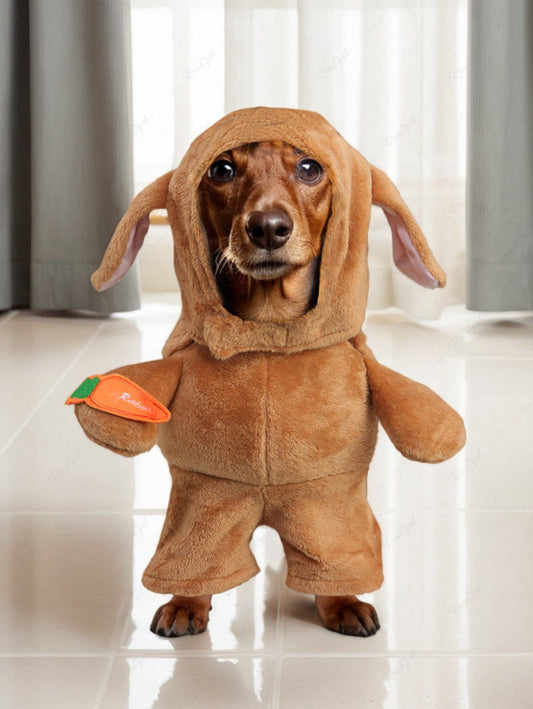 Pet's Carrot Rabbit Costume Coat With Ears Hat