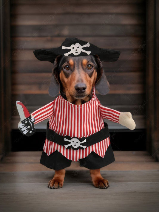 Pet's Skull Stripe Printed Pirate With Knife Cosplay Costume Coat With A Hat