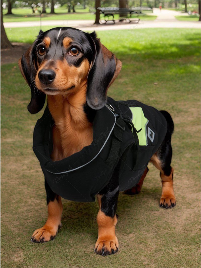 Veste chaude avec doublure polaire et poche zippée pour animaux de compagnie