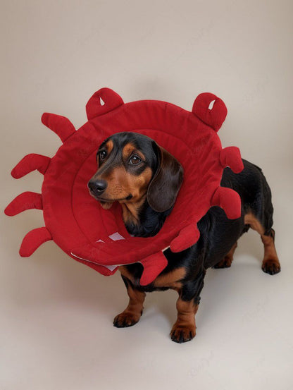 Pet's Crab Shaped Recovery Elizabethan Collar