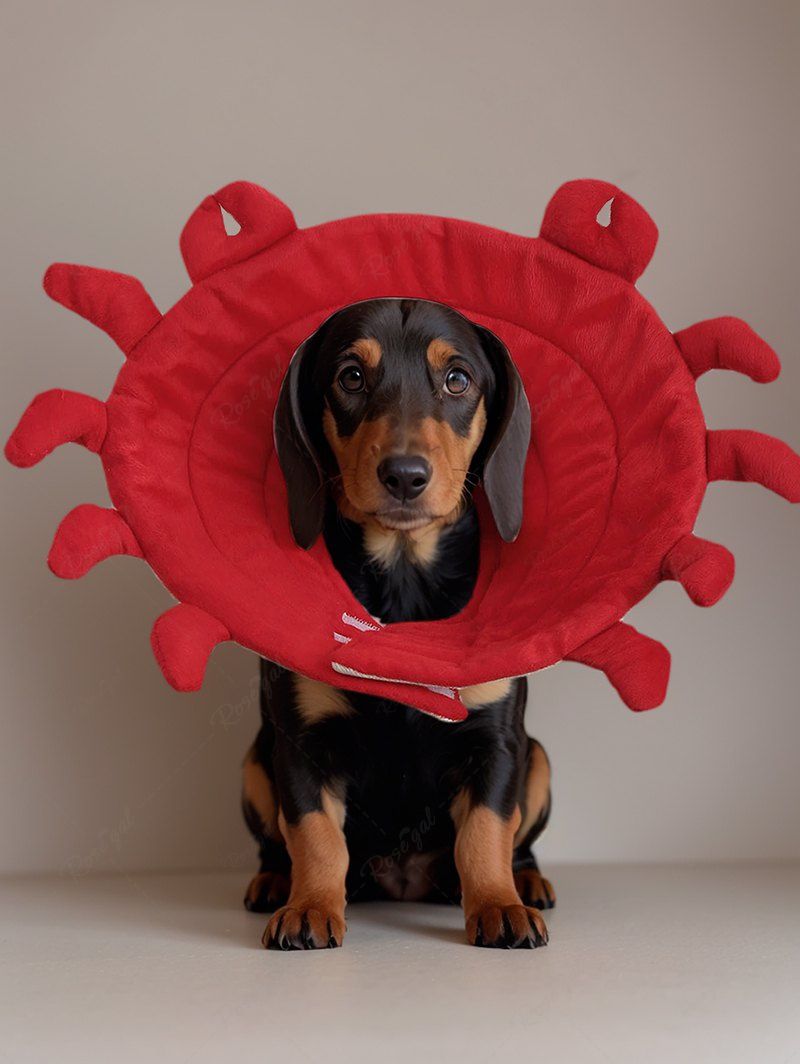 Pet's Crab Shaped Recovery Elizabethan Collar