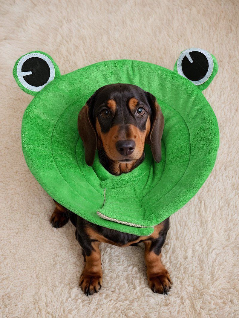 Pet's Frog Eyes Shaped Recovery Elizabethan Collar