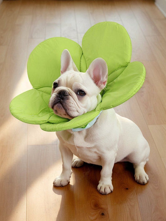 Pet's Flower Shaped Recovery Elizabethan Collar