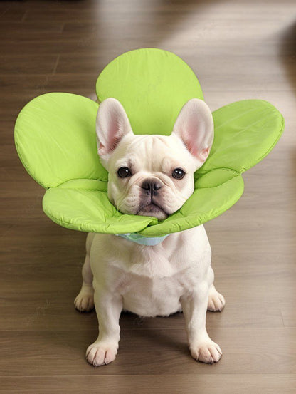 Pet's Flower Shaped Recovery Elizabethan Collar