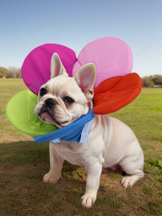 Pet's Rainbow Color Flower Shaped Recovery Elizabethan Collar