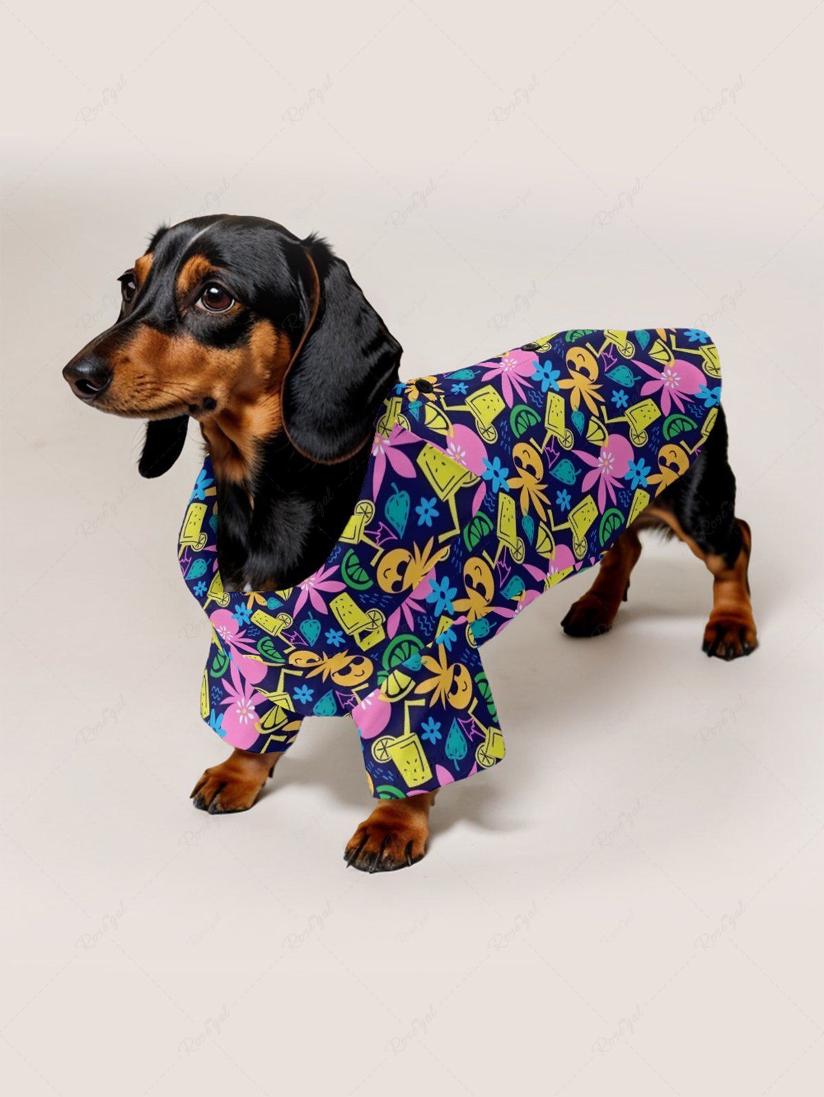 Hawaii Colorful Lemon Juice Cartoon Coconut Print Pants Shirt Dog And Owner Matching Outfits