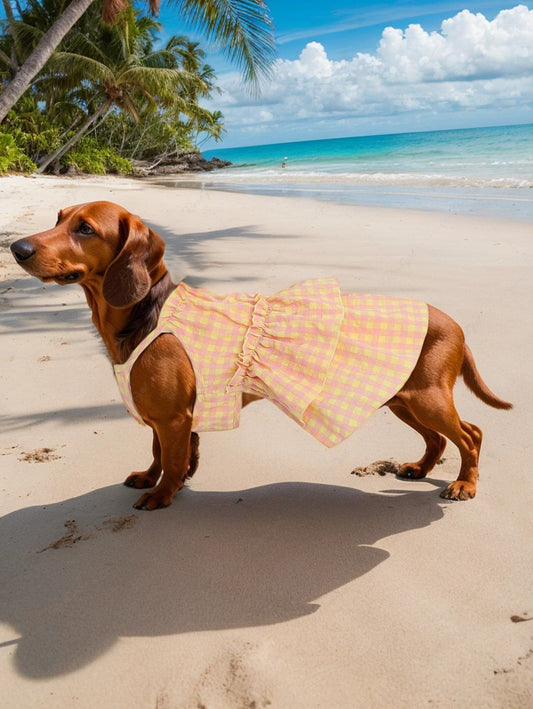 Pet's Plaid Printed Ruffles Tank Dress