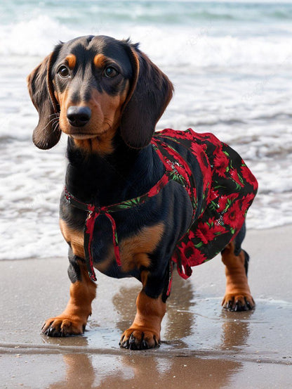 Daisy Flower Printed Hawaii Bikini Set Beach Cover Up Dog And Owner Matching Outfits