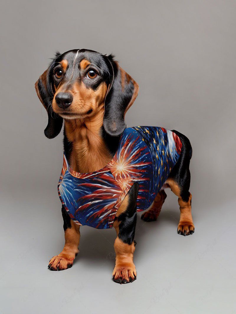 Patriotic American Flag Fireworks Oil Painting Print Tank Top and Shirts Dog and Owner Matching Outfits