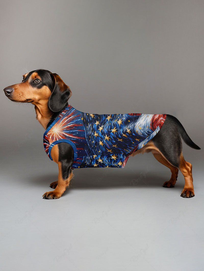 Patriotic American Flag Fireworks Oil Painting Print Tank Top and Shirts Dog and Owner Matching Outfits