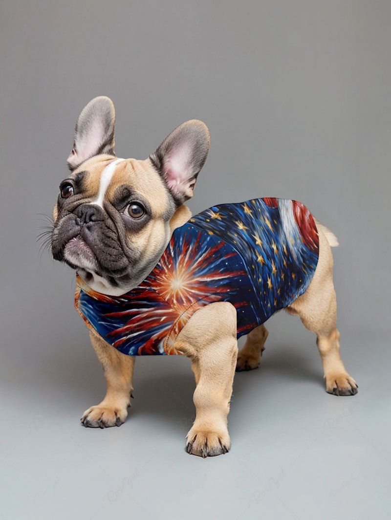 Patriotic American Flag Fireworks Oil Painting Print Tank Top and Shirts Dog and Owner Matching Outfits