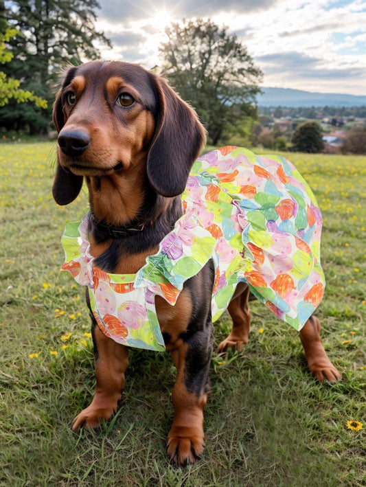 Pet's Colorful Balloon Print Ruffles Dress