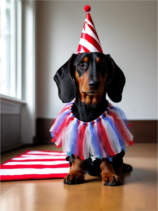 Pet's Patriotic American Flag Star Mesh Collar