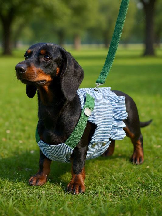 Pet's Stripes Print Ruffles Dress With Leash