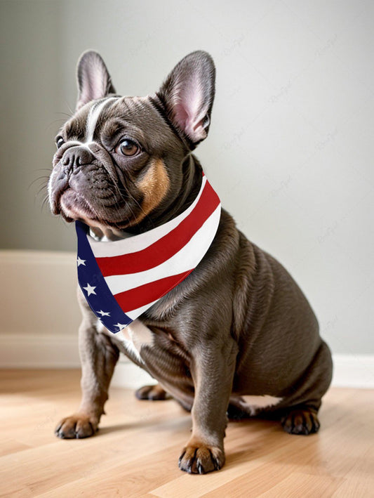Pet's Patriotic American Flag Print Bibs Bandana